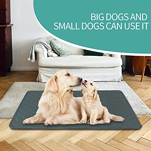 Eastlion Alfombrillas de Entrenamiento para Cachorros,Lavables,Reutilizables,Diseño de 4 Capas,Suaves/Súper Absorbentes,Apto para Perros y Gatos(2 Piezas 60x45 cm) S-Gris