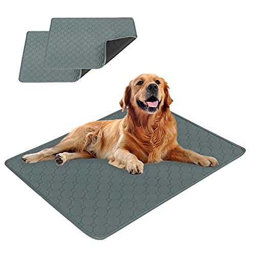 Eastlion Alfombrillas de Entrenamiento para Cachorros,Lavables,Reutilizables,Diseño de 4 Capas,Suaves/Súper Absorbentes,Apto para Perros y Gatos(2 Piezas 60x45 cm) S-Gris