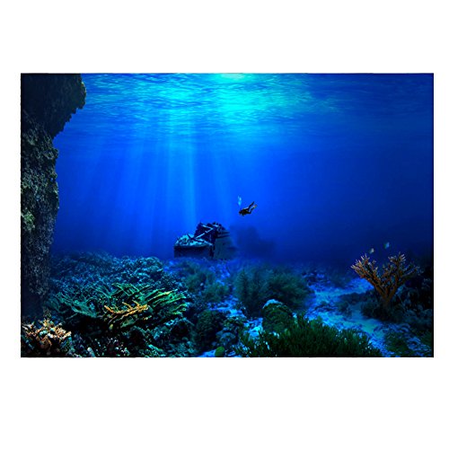 EBTOOLS Adhesivo de Fondo para Acuario, Póster, Telón de Fondo, Decoración de Acuario, Pegatina de PVC, Fondo, Decoración de Tanque de Peces, Pegatina Impermeable(61 * 41cm)