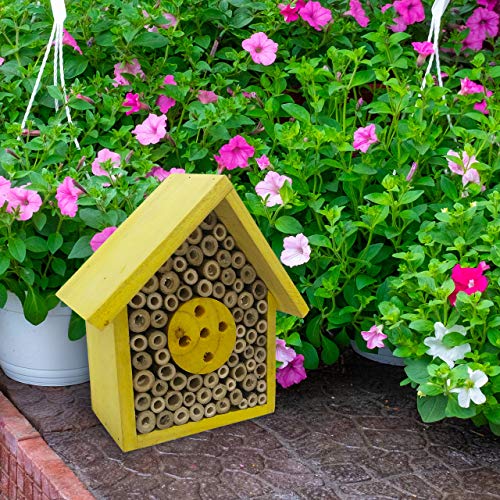 Eco-Friendly Bee House Hotel - Caja nido de insectos para jardín y patios