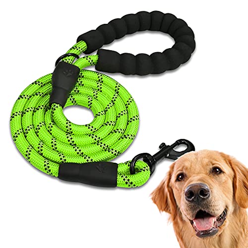 Edipets, Correa Perro, Correas para Perros, para Cachorro, Pequeños, Medianos y Grandes, 1,2 m, 1,5 m, 2,2 m, Correa Perro Adiestramiento (120 CM, Verde)