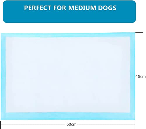 Edipets, Empapadores para Perros, 45x60 cm, (100 Unidades), Alfombrillas Higiénica Desechables para Mascotas, Toallitas de Entrenamiento y Adiestramiento, Absorbentes,Resistente a Prueba de Fugas