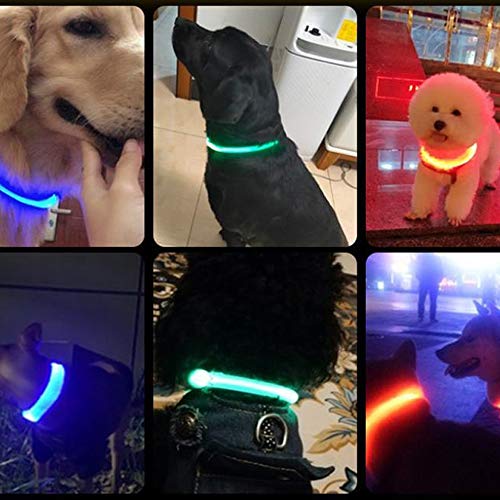 Elinala Collar Luminoso Perro, Collar Led Perro, Collar para Perro LED Ajustable Recargable por USB con Tres Modos de Iluminación para Mejorar la Visibilidad del Perro por la Noche (Rosa)