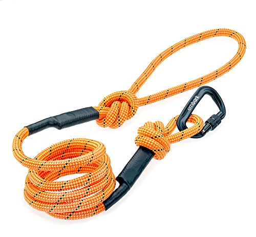 Embark Pets - Correa Sierra para perro con cuerda de escalada de montaña y mosquetón