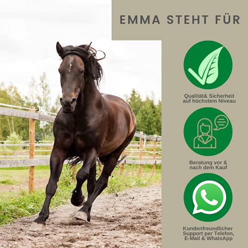 EMMA ♥ Spray de Aluminio para Caballos y Perros I Vendaje para heridas en Spray Protección inmediata I Cuidado óptimo de heridas I Transpirable 200 ml