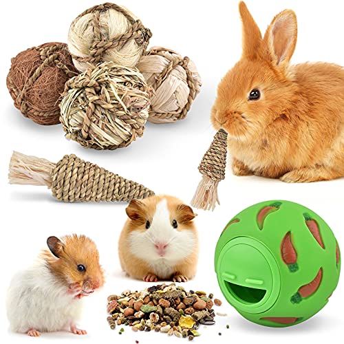 ERKOON Bola de golosinas para animales pequeños, juguete divertido de plástico con jacinto de agua natural para conejos, cobayas, chinchillas, hámsteres, ratones, jerbos, degus, hurones