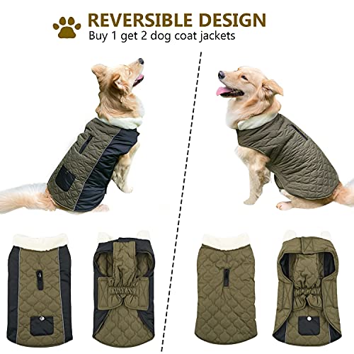 Etechydra Chaqueta Abrigo para Perro, Ropa Perrita Impermeable Reversibles, de Invierno para Perro, Chaleco Reflectante Mascotas con Cuello de Lana Cálido, Abrigo Ajustable Ropa Perro, Verde, L