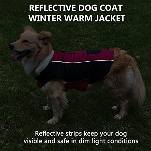 Etechydra Chaqueta Abrigo para Perro, Ropa Perrita Impermeable Reversibles, de Invierno para Perro, Chaleco Reflectante Mascotas con Cuello de Lana Cálido, Abrigo Ajustable Ropa Perro Rojo Vino, XL