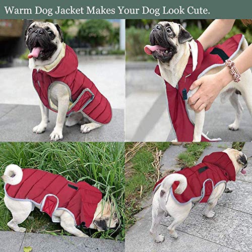 Etechydra Impermeable Chaqueta Abrigada para Perros, Reflectante Abrigo para Perro con Sombrero Desmontable, Invierno Chaleco Felpa Chaqueta Perro Abrigo, XS