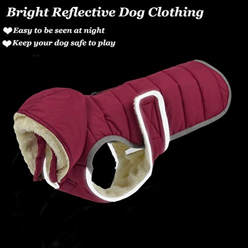 Etechydra Impermeable Chaqueta Abrigada para Perros, Reflectante Abrigo para Perro con Sombrero Desmontable, Invierno Chaleco Felpa Chaqueta Perro Abrigo, XS