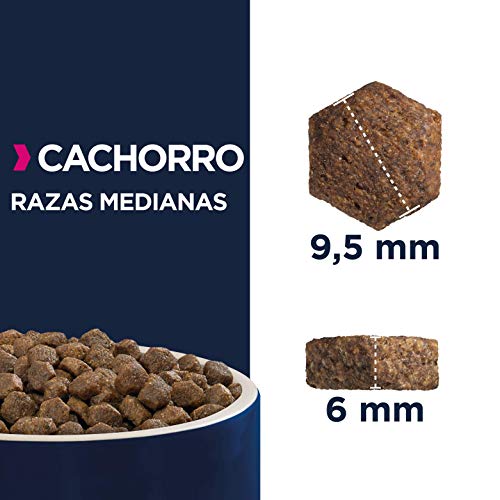 Eukanuba Alimento seco para cachorros de raza mediana, rico en pollo fresco 15 kg