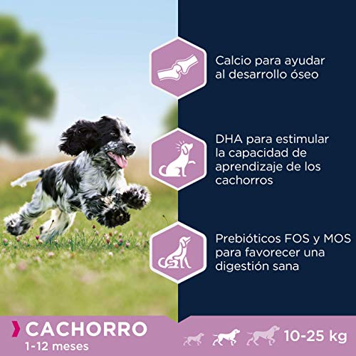 Eukanuba Alimento seco para cachorros de raza mediana, rico en pollo fresco 15 kg