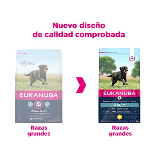 Eukanuba Alimento seco para perros adultos activos de raza grande,, rico en pollo fresco 3 kg