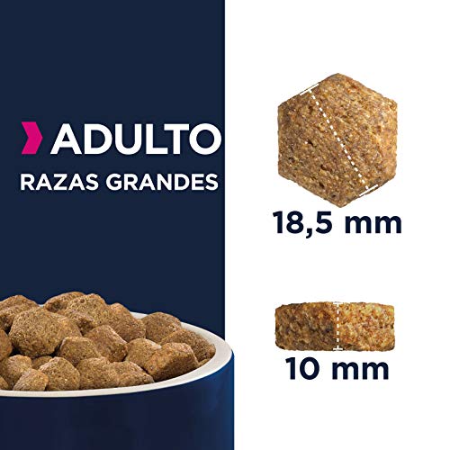 Eukanuba Alimento seco para perros adultos activos de raza grande,, rico en pollo fresco 3 kg