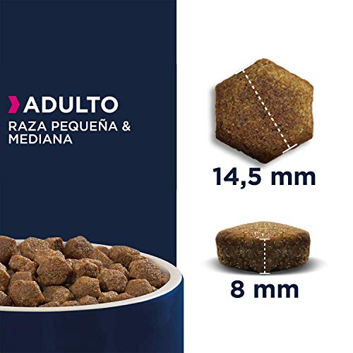 EUKANUBA Alimento seco para Perros Adultos de Razas pequeñas y Medianas, Rico en salmón y Cebada, 2,5 kg