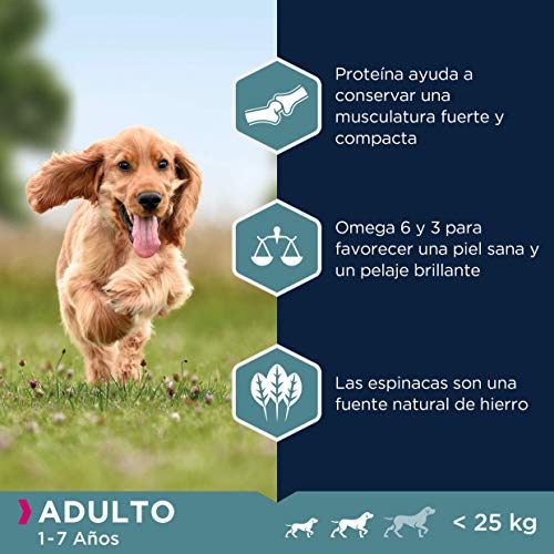 EUKANUBA Alimento seco para Perros Adultos de Razas pequeñas y Medianas, Rico en salmón y Cebada, 2,5 kg