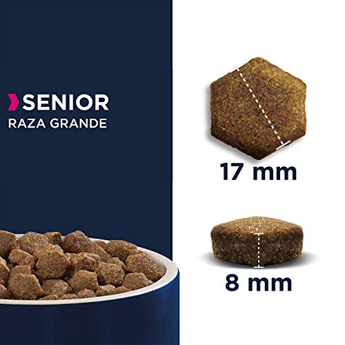 EUKANUBA Alimento seco para Perros Senior de Razas Grandes, Rico en Cordero y arroz, 12 kg