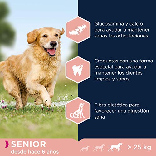 EUKANUBA Alimento seco para Perros Senior de Razas Grandes, Rico en Cordero y arroz, 12 kg