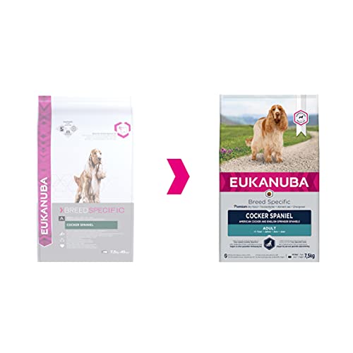 EUKANUBA Breed Specific Alimento seco para perros cocker spaniel adultos, alimento para perros óptimamente adaptado a la raza 7.5 kg