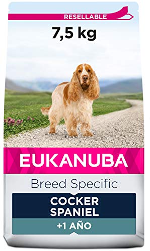 EUKANUBA Breed Specific Alimento seco para perros cocker spaniel adultos, alimento para perros óptimamente adaptado a la raza 7.5 kg