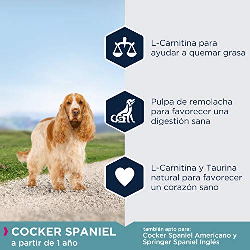 EUKANUBA Breed Specific Alimento seco para perros cocker spaniel adultos, alimento para perros óptimamente adaptado a la raza 7.5 kg