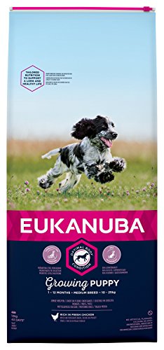 EUKANUBA Cachorro de Raza Mediana en Crecimiento rico en pollo fresco [12 kg]