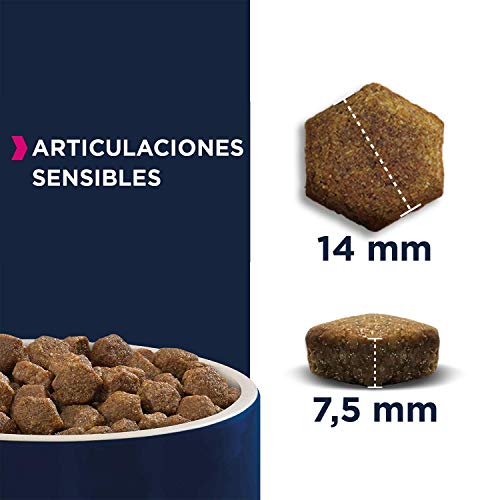 EUKANUBA Daily Care Alimento seco para perros adultos con articulaciones sensibles que sufren molestias articulares, 12 kg