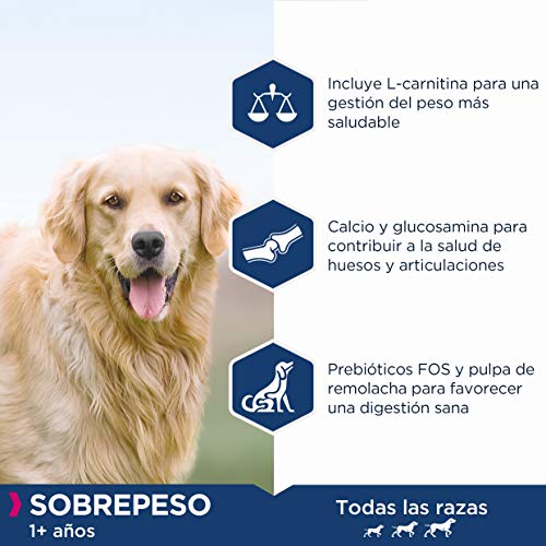 EUKANUBA Daily Care Alimento seco para perros con sobrepeso y esterilizados, bajo en grasa, 2 kg