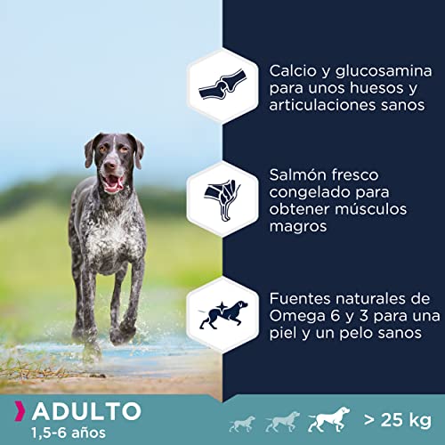 Eukanuba Grain Free* Alimento para perros adultos de razas grandes, receta baja en alérgenos, 12 kg