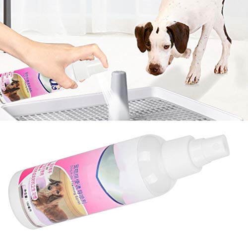 EVTSCAN Aerosol de Entrenamiento para Perros y Mascotas, Spray de Entrenamiento con Aroma Atractivo para Cachorros aquí, para orinar para Cachorros, Uso en Interiores y Exteriores, 160 ml