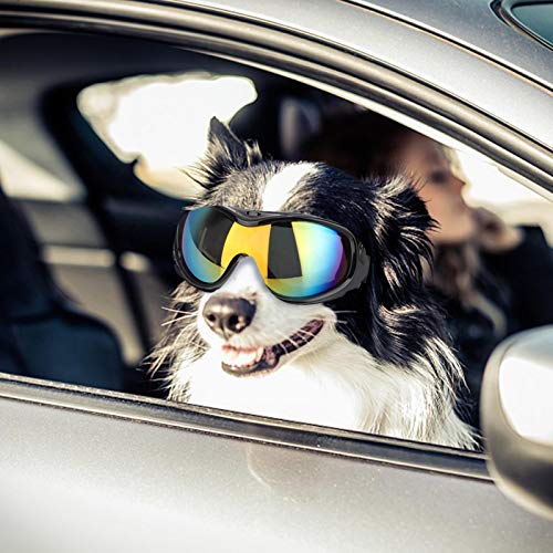 EVTSCAN Gafas para Perros pequeños, Gafas de Sol para Perros Anti-UV, Impermeables, a Prueba de Viento, a Prueba de Nieve, para Perros, con Correas Flexibles para Gatos, Cachorros(Negro)