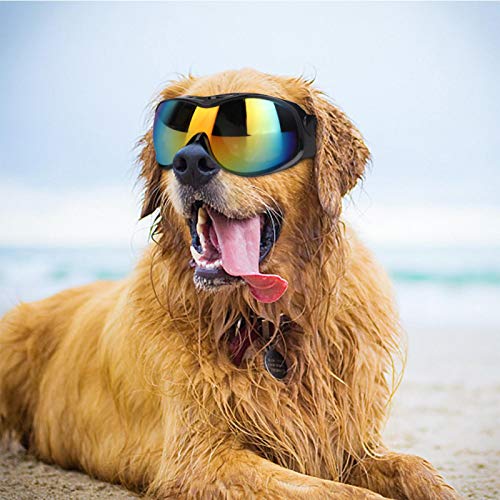 EVTSCAN Gafas para Perros pequeños, Gafas de Sol para Perros Anti-UV, Impermeables, a Prueba de Viento, a Prueba de Nieve, para Perros, con Correas Flexibles para Gatos, Cachorros(Negro)