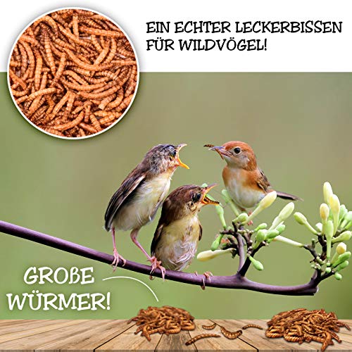 EWL Naturprodukte Gusanos de harina deshidratados, 2 kg, equivalen a 13 l Snack para pájaros, peces, tortugas, roedores y reptiles.