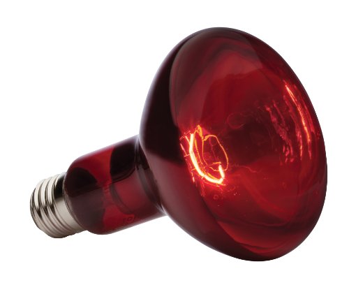 EXO TERRA Infra-Rojo Nocturno Heat GLO, 150 W