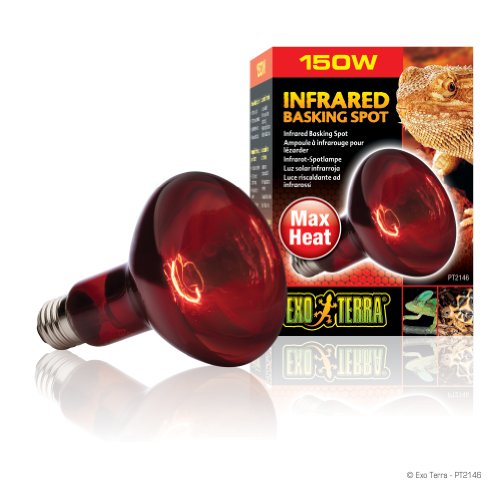 EXO TERRA Infra-Rojo Nocturno Heat GLO, 150 W