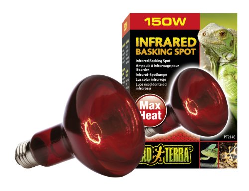 EXO TERRA Infra-Rojo Nocturno Heat GLO, 150 W