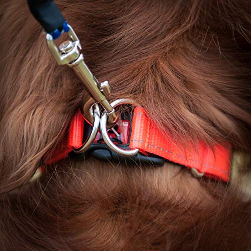 EzyDog Collar Double Up