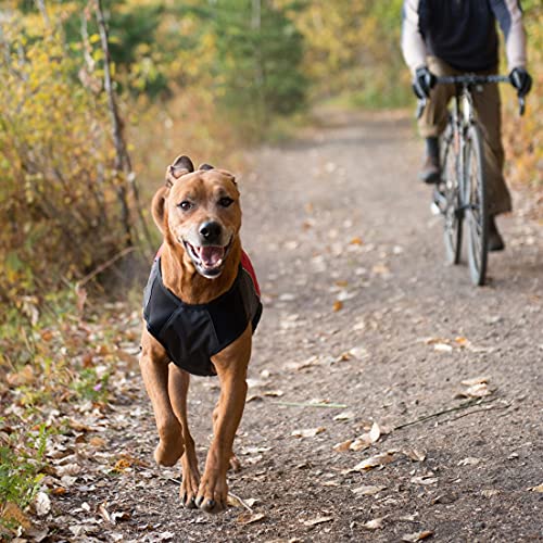 EzyDog Element - Chaqueta para Perro, tamaño Mediano (21 Pulgadas), Color Escarlata