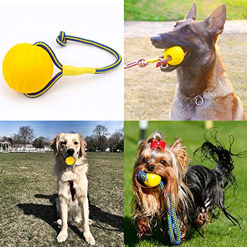 FANDE Bolas para Perros, Pelota para Perros con Cuerda, Pelota para Mordedura de Molar para Mascotas, 7 CM, Indestructible, para Perros y Gatos (Amarillo)