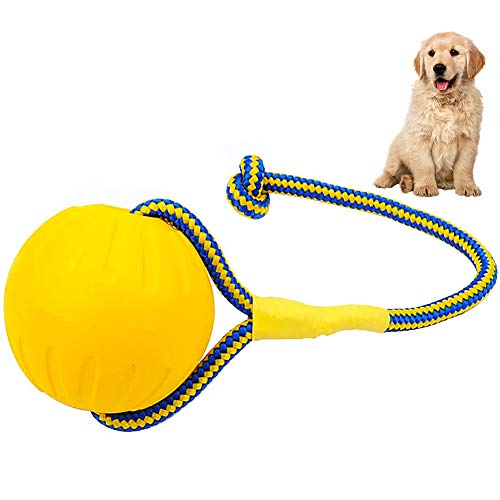 FANDE Bolas para Perros, Pelota para Perros con Cuerda, Pelota para Mordedura de Molar para Mascotas, 7 CM, Indestructible, para Perros y Gatos (Amarillo)