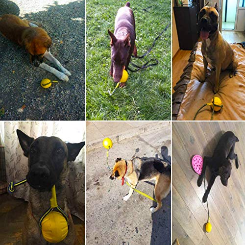 FANDE Bolas para Perros, Pelota para Perros con Cuerda, Pelota para Mordedura de Molar para Mascotas, 7 CM, Indestructible, para Perros y Gatos (Amarillo)