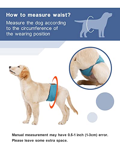 FBBULES 3 Paquetes Pañales Perros Machos Envoltorios Lavables El Vientre del Perro Pañales Pantalones Sanitarios Fisiológicos para Perros Pequeños Y Medianos M