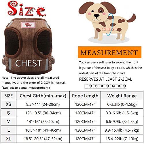 Feimax Arnés para Perro Pequeño Mediano con Correa, Chaleco Reflectante Ajustable para Cachorros, Perros Pequeños y Gatos, sin tirónes, Acolchado de Malla Suave, a Prueba de Fugas