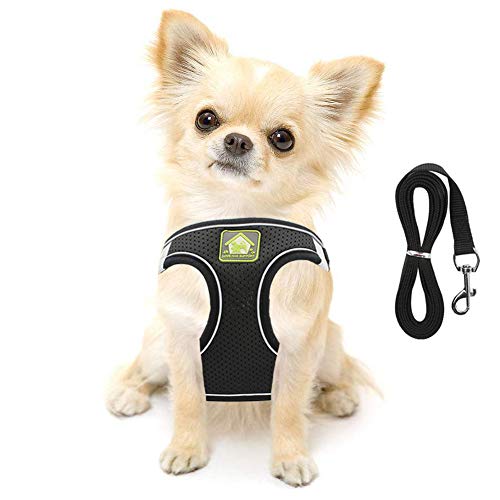 FEimaX Arnés para Perro y Conjunto de Correa, Acolchado con Malla Suave, Chaleco para Cachorros Reflectante y Ajustable para Perros y Gatos Pequeños