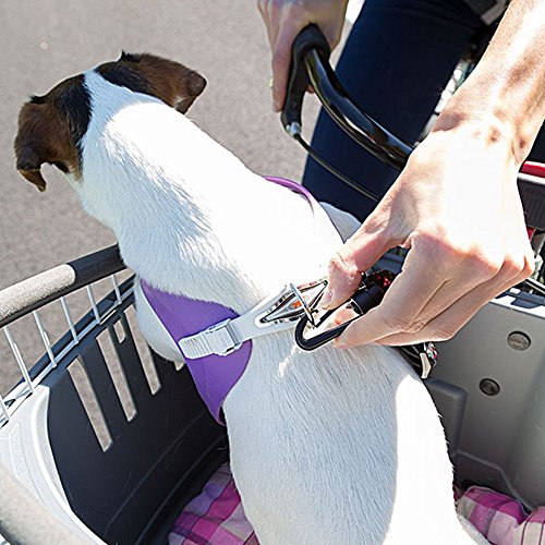 Ferplast Transportín de Bicicleta para Perros de Talla pequeña hasta 7 kg Atlas Bike 20 Rapid, Caja de Viaje con Correa de Seguridad y cojín, Reja de protección, 47 x 35,5 x h 34,5 cm Gris