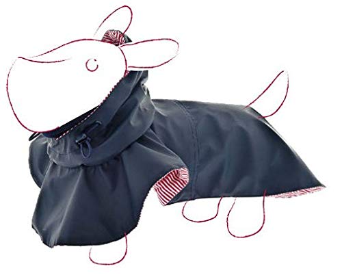 Ferribiella - Capa para Perros Mod. Vestido para Animales domésticos. Colección Balloon catálogo 2019.