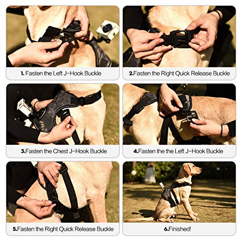 Fetch - Arnés para perro GoPro, con cámara de acción para cámara de vídeo, chaleco con cuello ajustable, 3 correas de goma para perros medianos y grandes