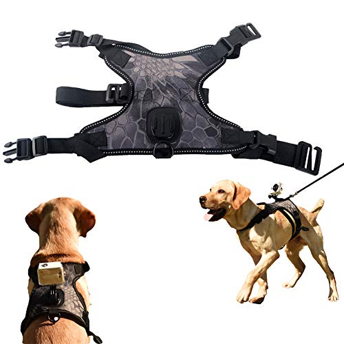 Fetch - Arnés para perro GoPro, con cámara de acción para cámara de vídeo, chaleco con cuello ajustable, 3 correas de goma para perros medianos y grandes