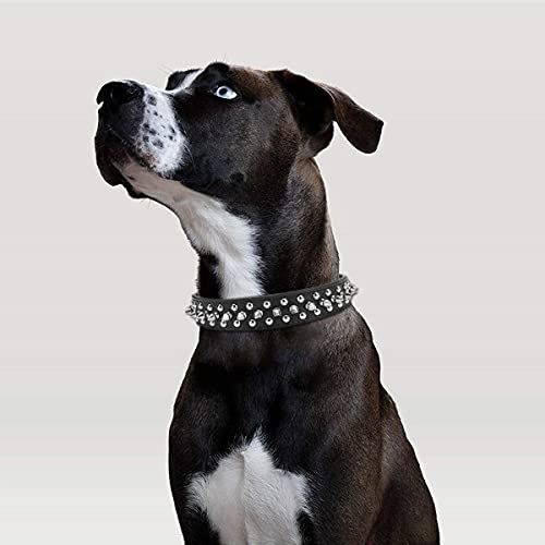 Filhome Collar de piel para perros con clavos y remaches para actividades diarias L