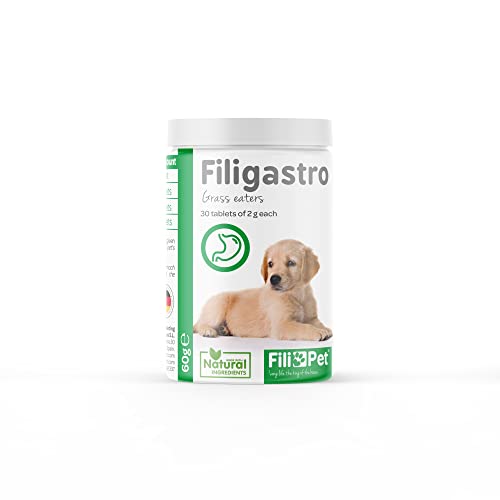 FILIPET FILIGASTRO complemento alimenticio Natural, Ayuda a los Perros a Eliminar la acidez estomacal por Ingesta de Hierbas u Otros Alimentos. 30 Comprimidos.